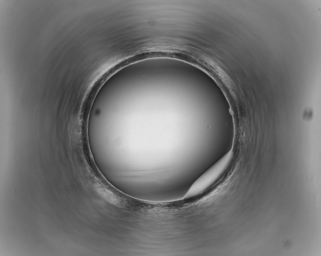 X0000091300779200708101307