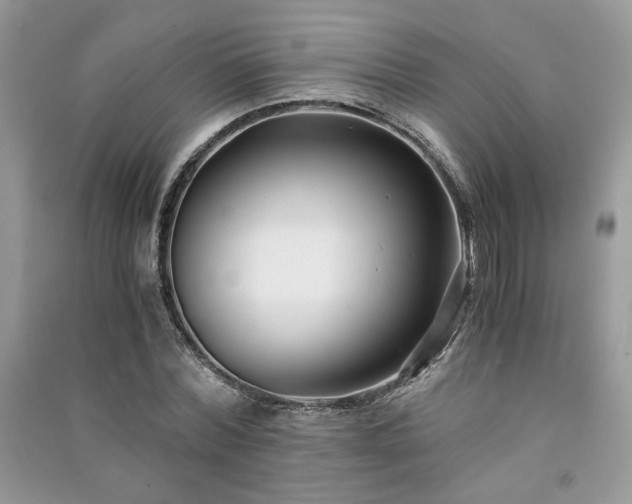 X0000091300780200708101307