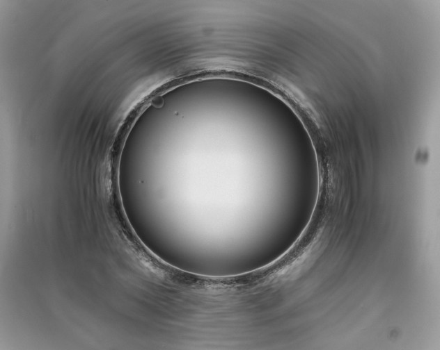 X0000091300782200708101307