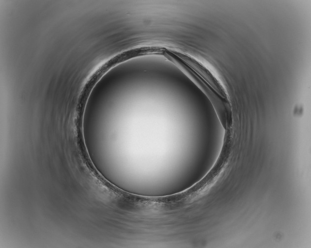 X0000091300783200708101307