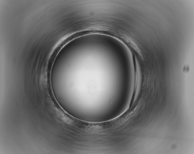X0000091300784200708101307
