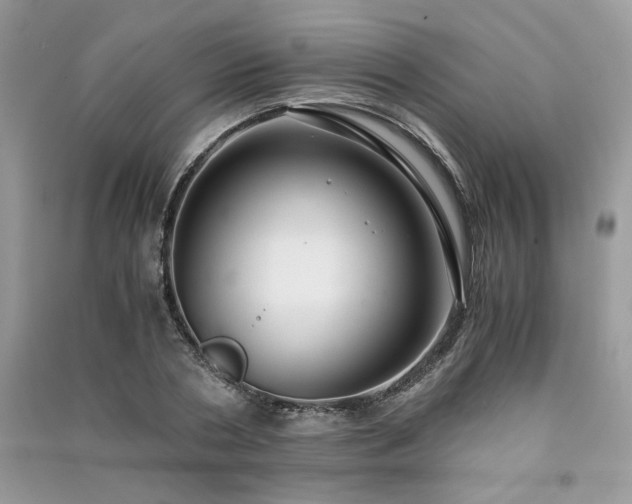 X0000091300786200708101307