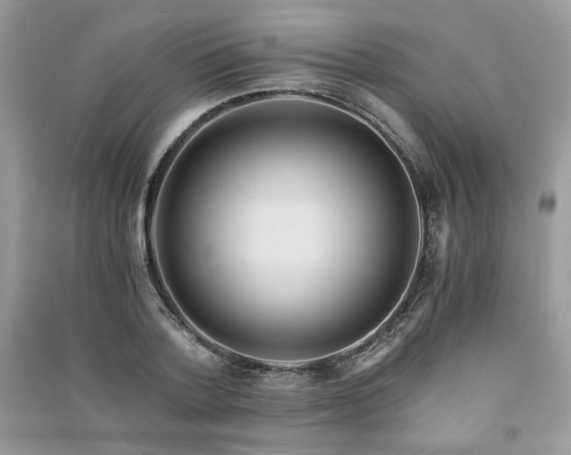 X0000091300788200708101307