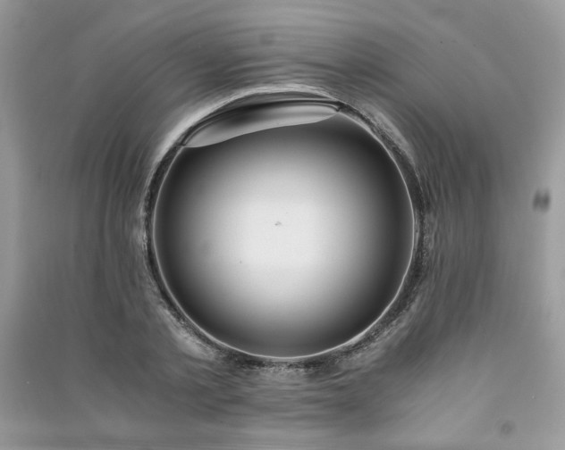 X0000091300789200708101307