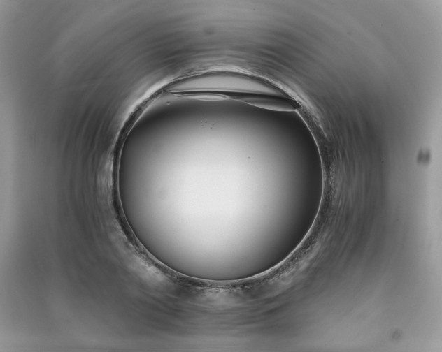 X0000091300790200708101307