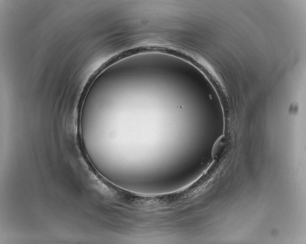 X0000091300791200708101307