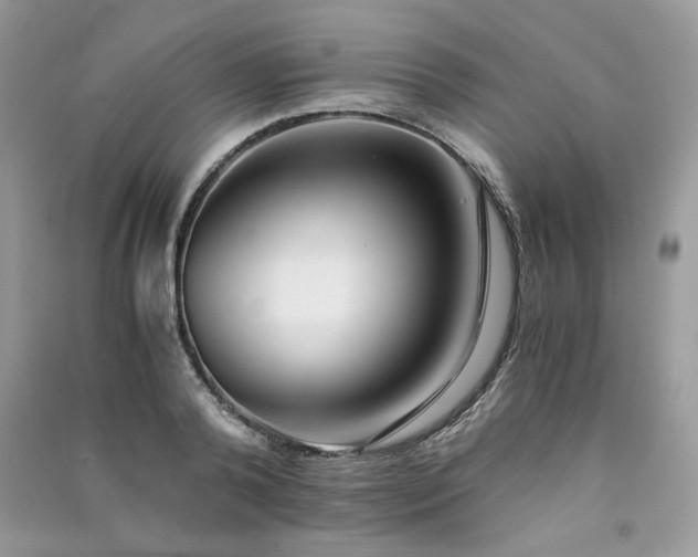 X0000091300792200708101307