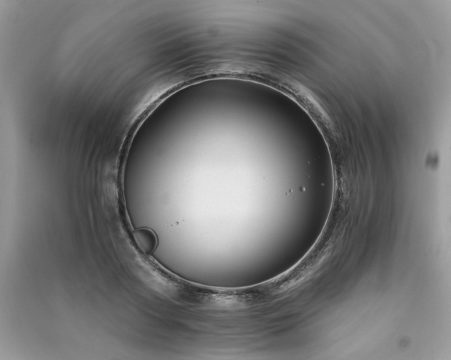 X0000091300794200708101307