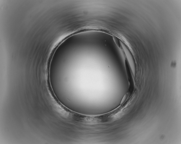 X0000091300795200708101307