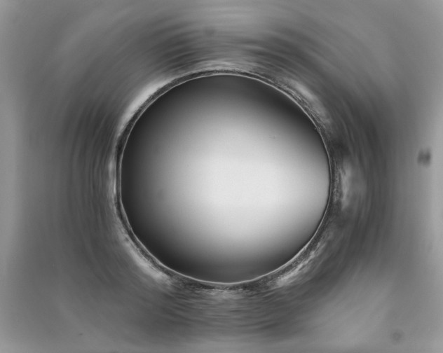 X0000091300796200708101307