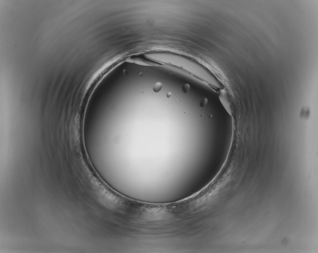 X0000091300798200708101307