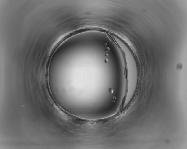 X0000091300799200708101307