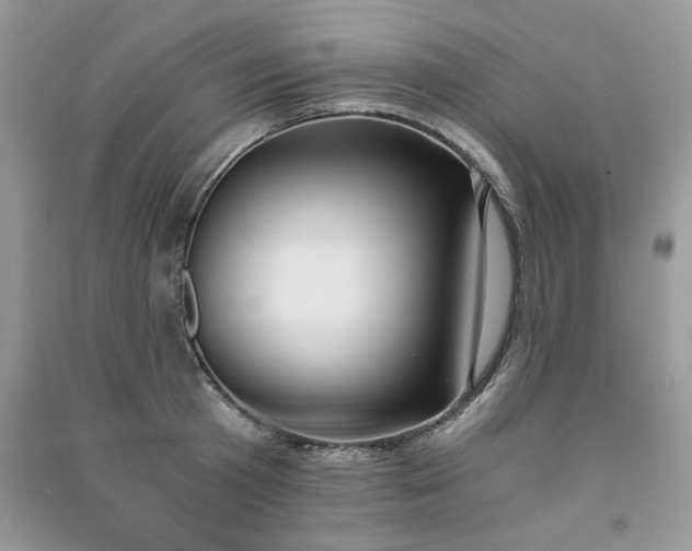 X0000091300801200708101307