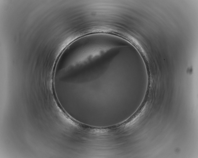 X0000091300802200708101306