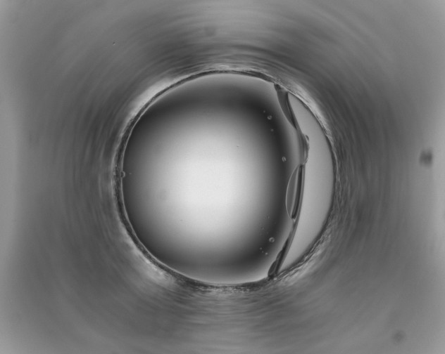 X0000091300803200708101306