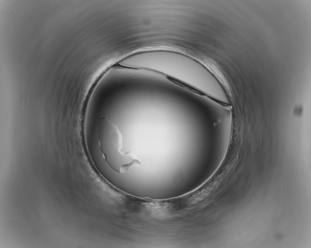 X0000091300805200708101306