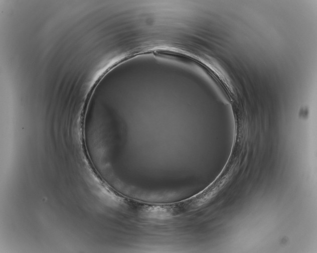X0000091300806200708101306