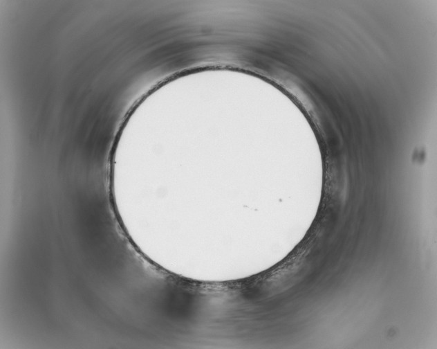 X0000091300807200708101306
