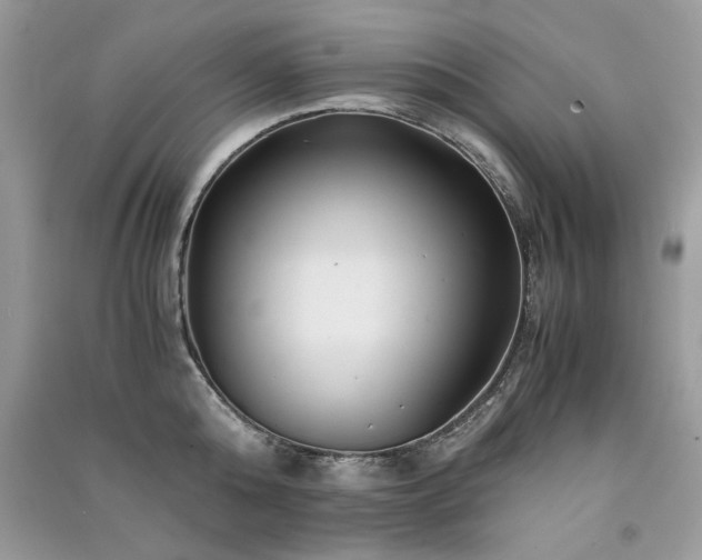 X0000091300808200708101306