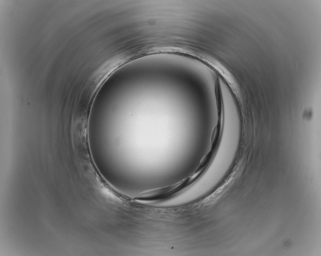 X0000091300809200708101306