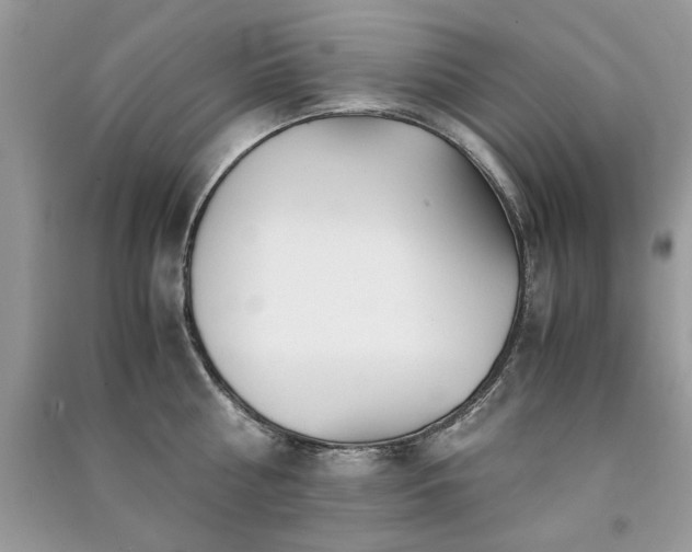 X0000091300810200708101306