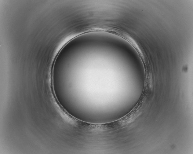 X0000091300811200708101306