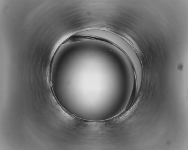 X0000091300812200708101306