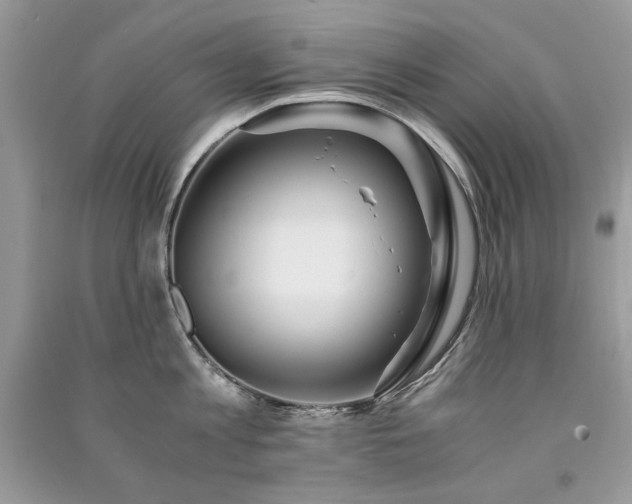 X0000091300813200708101306