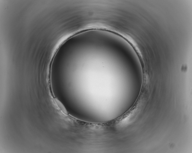 X0000091300815200708101306