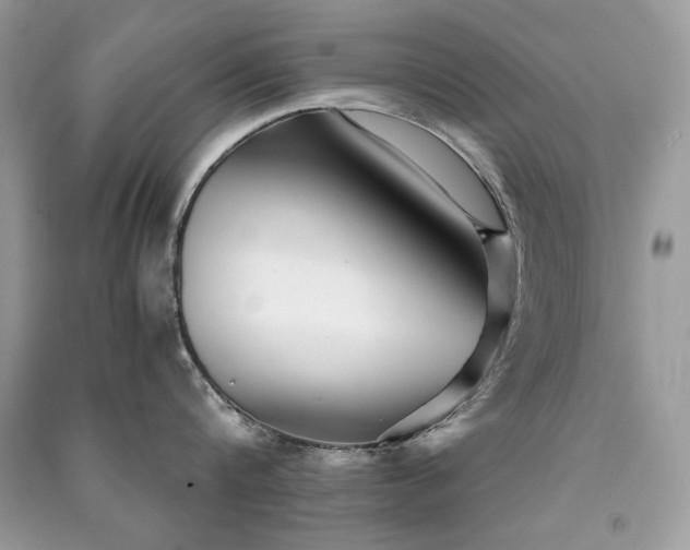 X0000091300816200708101306