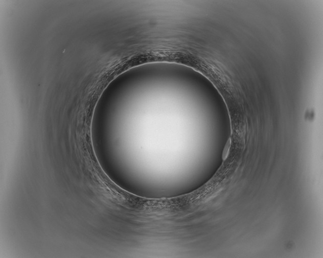 X0000091300817200708101306