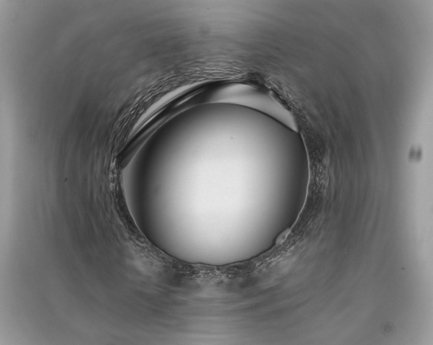 X0000091300818200708101306
