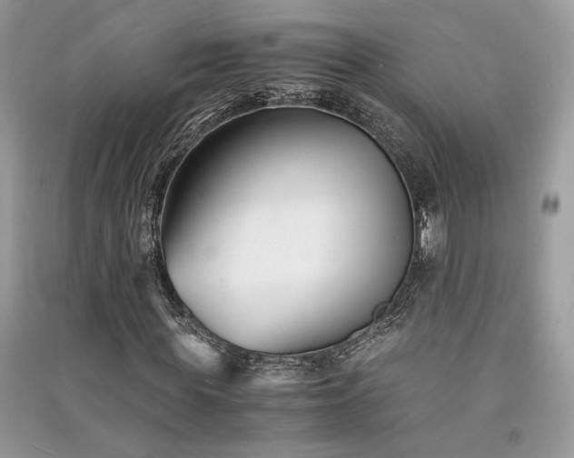 X0000091300819200708101306