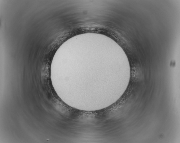 X0000091300820200708101306