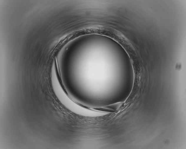 X0000091300822200708101306