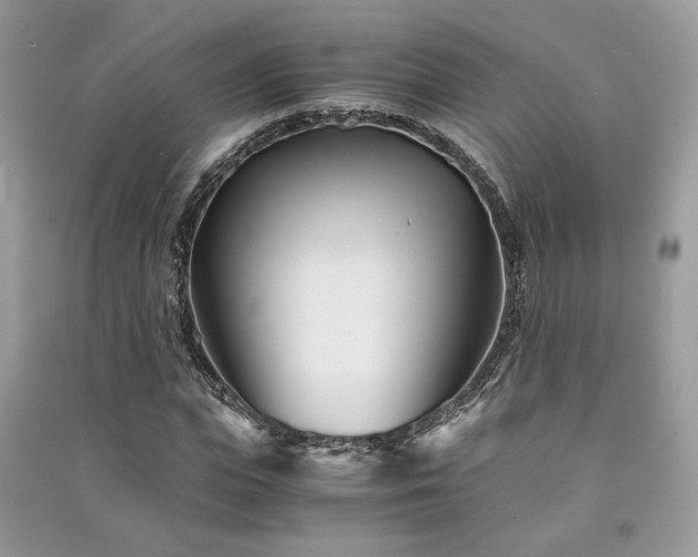 X0000091300823200708101306