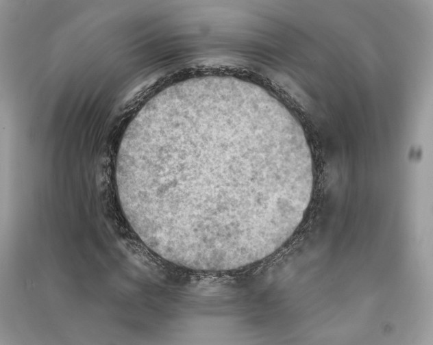 X0000091300824200708101306