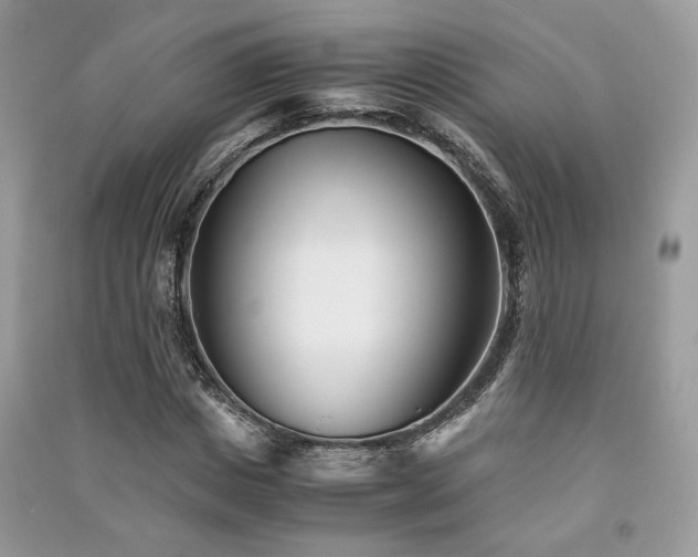 X0000091300825200708101306