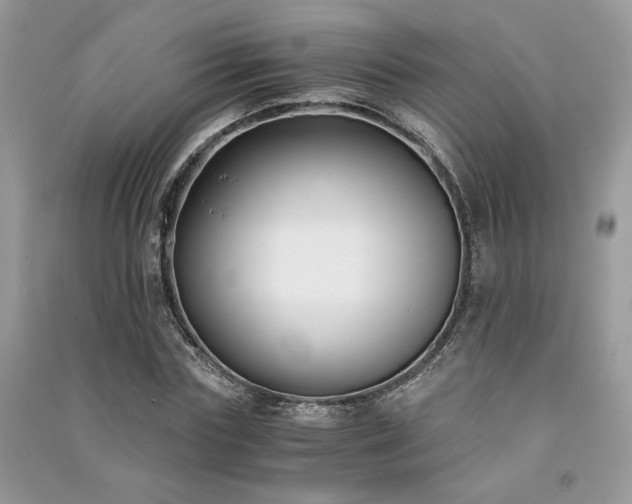 X0000091300827200708101306
