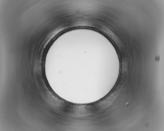 X0000091300828200708101306