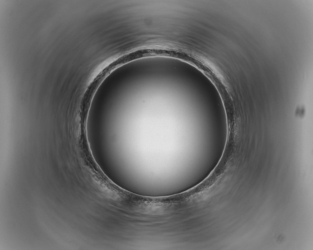 X0000091300829200708101306
