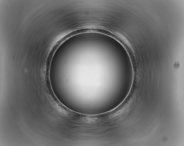 X0000091300831200708101306