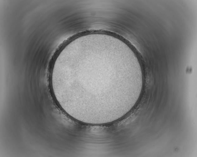 X0000091300832200708101306