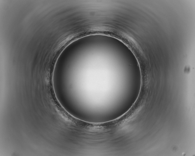 X0000091300833200708101306