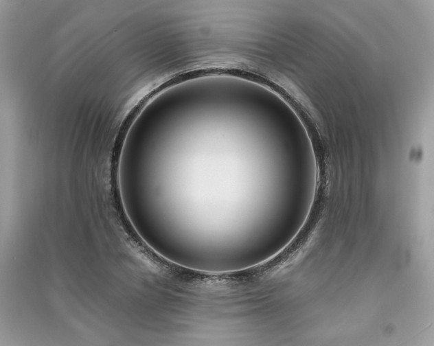 X0000091300834200708101306