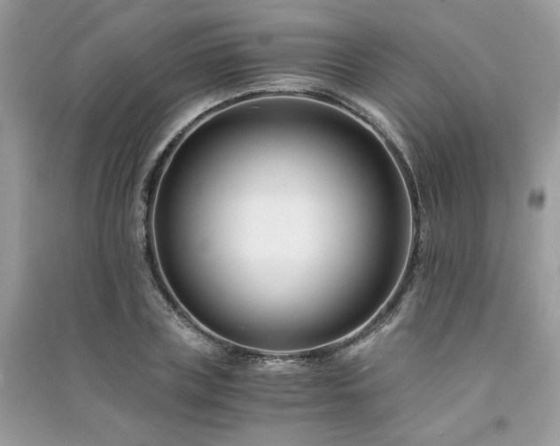 X0000091300835200708101306