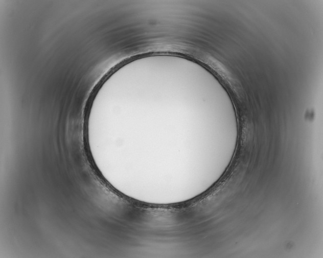 X0000091300836200708101306