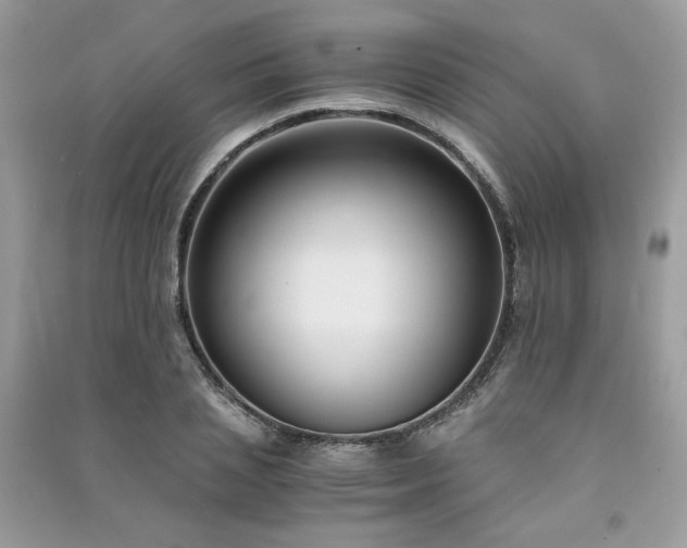 X0000091300837200708101306