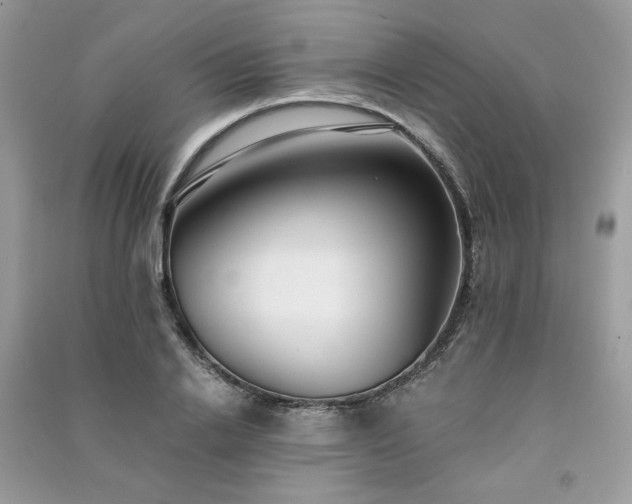 X0000091300838200708101306