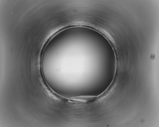 X0000091300839200708101306